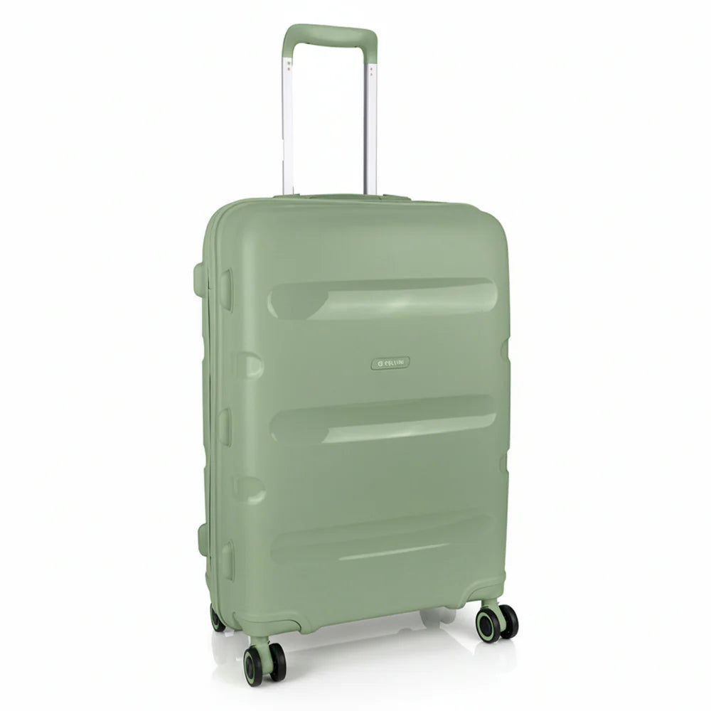 Cellini Cruze 65cm Medium Spinner | Sage Green