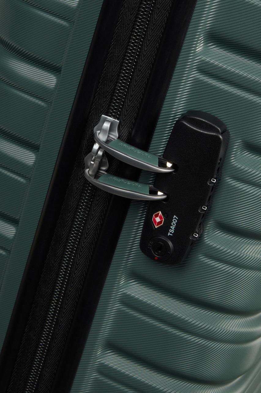 American Tourister Dark Forest