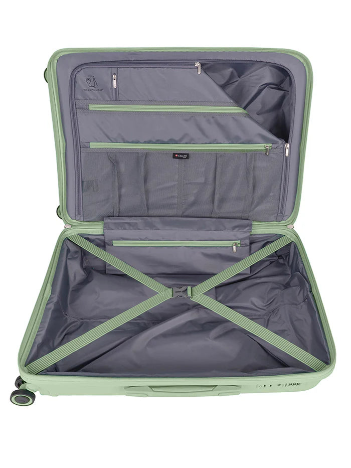 Cellini Cruze 65cm Medium Spinner | Sage Green