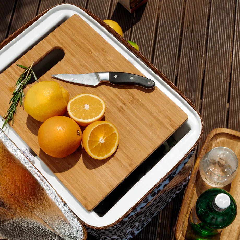 Thandana Laminated Fabric 25L Cooler Box - KaryKase