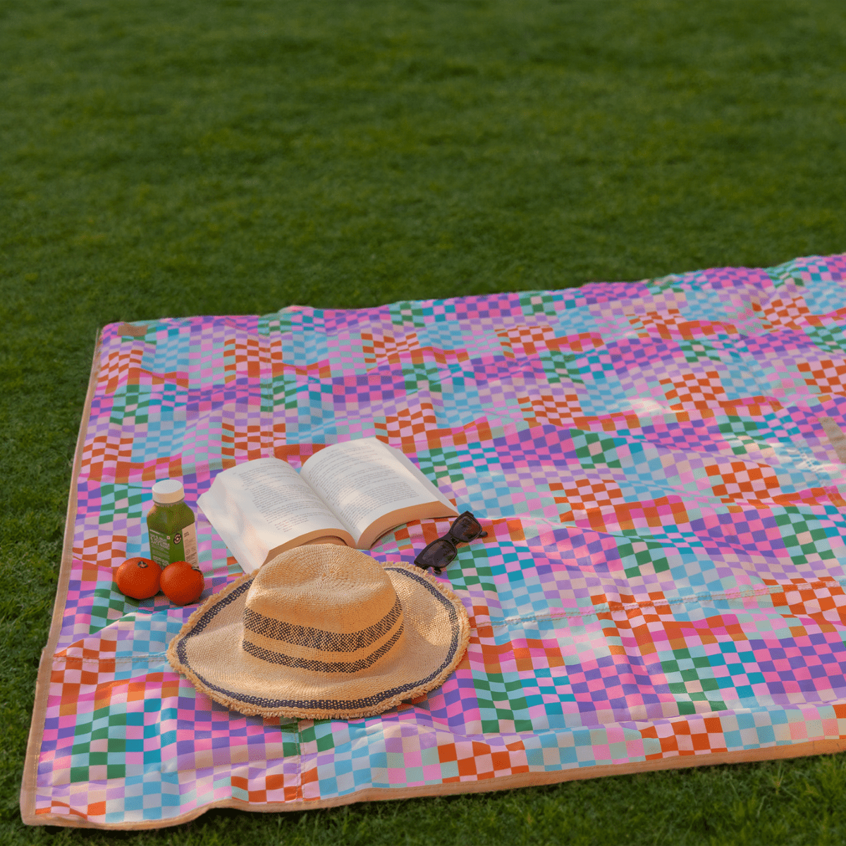 Thandana Laminated Fabric Compact Carry Picnic Blanket - KaryKase