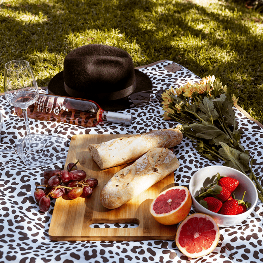 Thandana Laminated Fabric Picnic Blanket - KaryKase